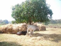bilder 2010 002