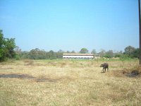 bilder 2010 006