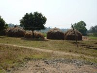 bilder 2010 008