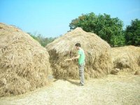 bilder 2010 009