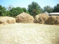 bilder 2010 010