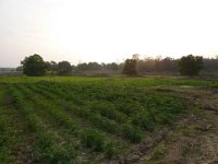 bilder 2010 026