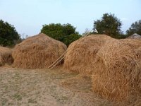 bilder 2010 027