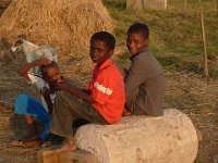 bilder 2010 046