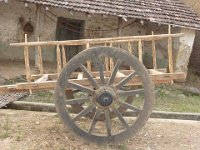 bilder 2010 172
