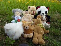 bilder 2010 179