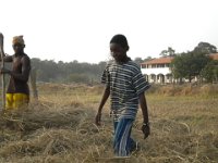 Indien 2011 003