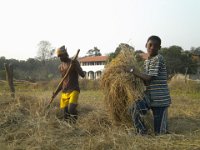 Indien 2011 004