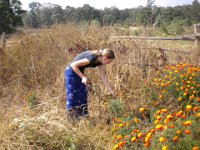 Indien 2011 017