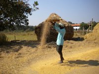 Indien 2011 059