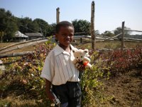 Indien 2011 063