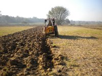 Indien 2011 073