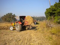 Indien 2011 075