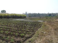 bilder 2013 050