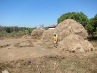 bilder 2013 069 : INDIA6