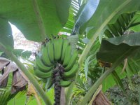 bilder 2013 071 : INDIA6
