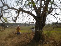 indien 2014 003
