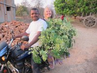 indien 2014 058