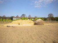 indien 2014 063