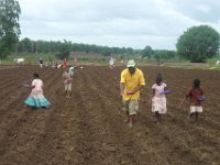 indien 2015 007
