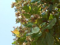 Indien 2017 008