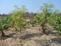 Indien 2017 011