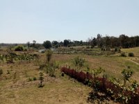 IMG 20200222 133602