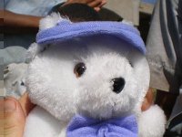 bilder 107