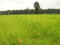 landwirtschaft 015